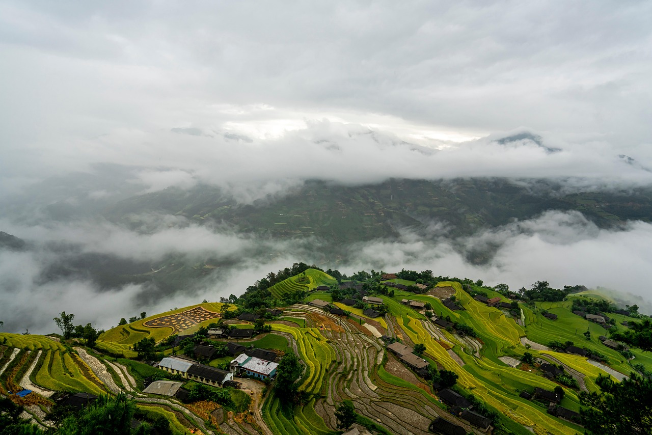 Alibaba reshapes cloud leadership as Li Feifei steps in as CTO