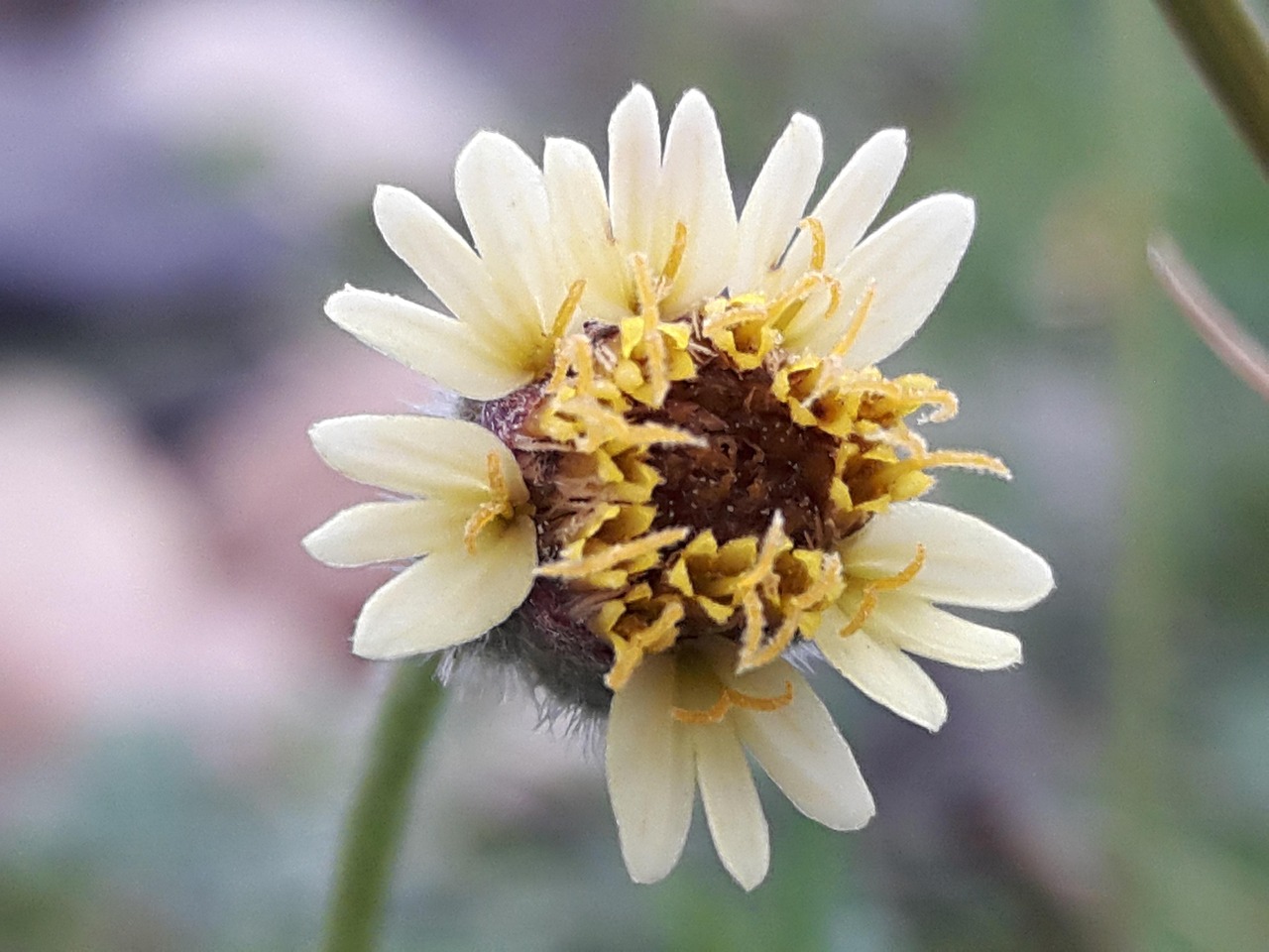 HDFC Bank appoints Rajesh Tummalaganti as interim CFO amid leadership reshuffle